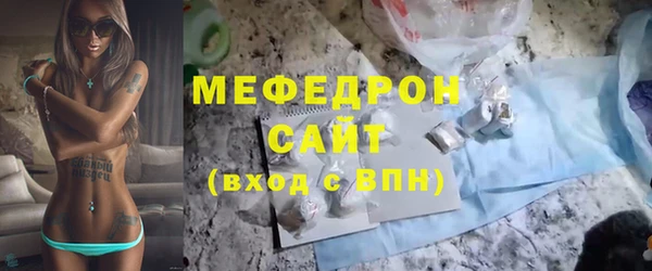 сатива Каменка