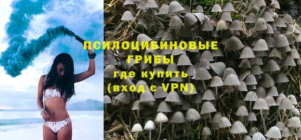 a pvp Каменногорск