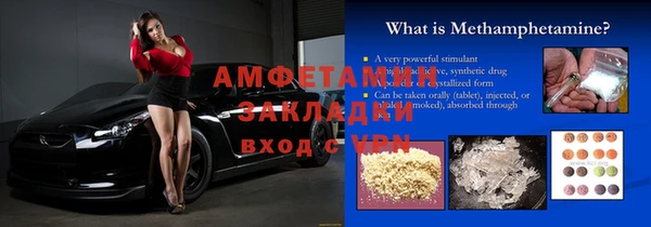 сатива Каменка