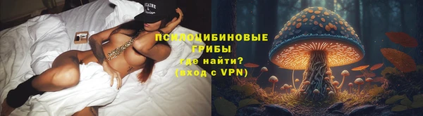 apvp Каменск-Шахтинский