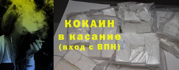 сатива Каменка