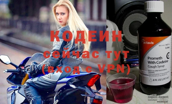 сатива Каменка