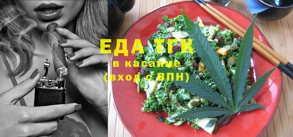 сатива Каменка