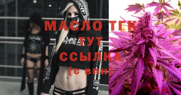 сатива Каменка