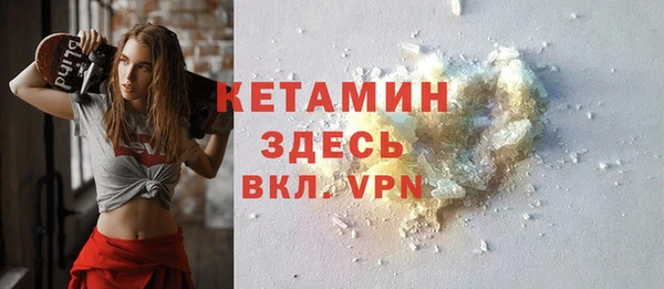 сатива Каменка