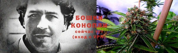 a pvp Каменногорск
