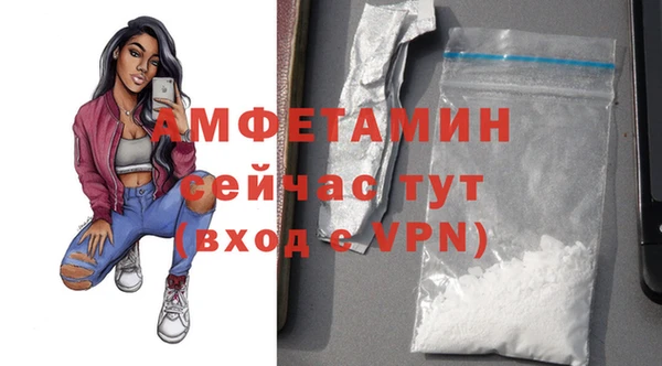 сатива Каменка