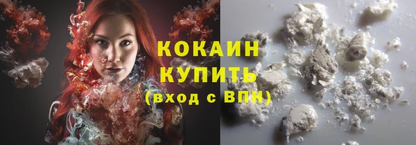 сатива Каменка