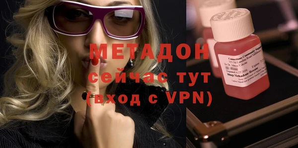 сатива Каменка