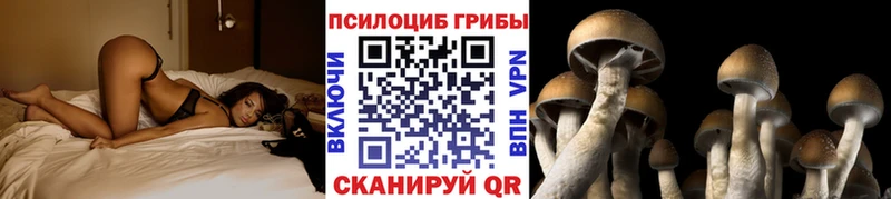 Галлюциногенные грибы Magic Shrooms  где можно купить   Электрогорск 
